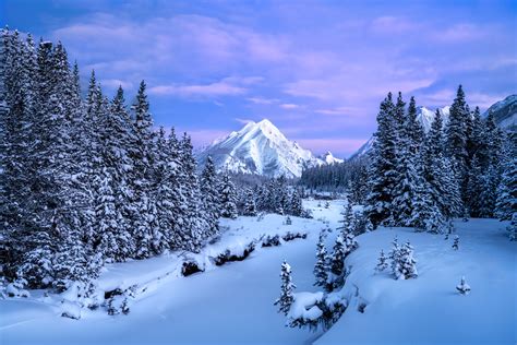 遼陽地區什麼時候有雪?遼陽地區的冬季，雪景是否總是如期而至?